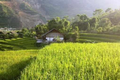 Ban Ho Village in Sapa, Lao Cai