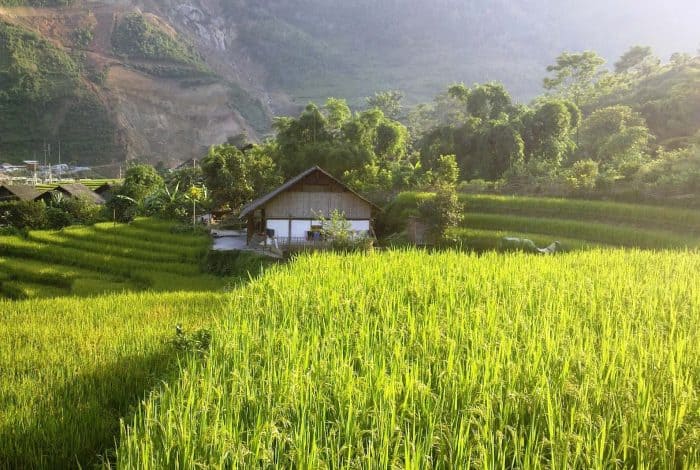 Ban Ho Village in Sapa, Lao Cai