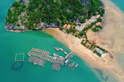 Enjoy A Sweet Journey to Banh Sua Island