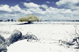 Bau Trang - Little Desert in Tropical Land of Vietnam