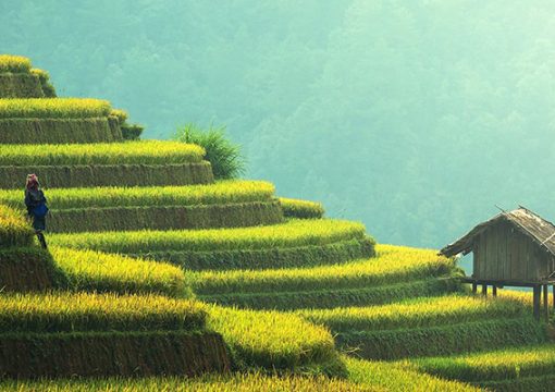 Best Time of the Year to Visit Vietnam