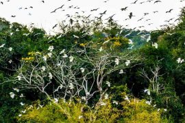 Ninh Binh City Centre: Explore the Heart of Northern Vietnam