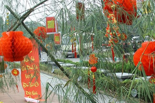 “Cay Neu” & Its Meaning in Vietnamese Culture