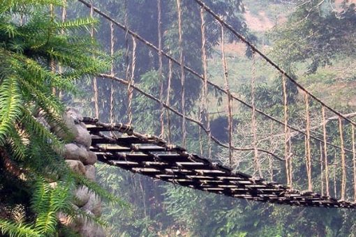 Cloud Bridge (Cầu Mây) – A Hidden Attraction in Sapa