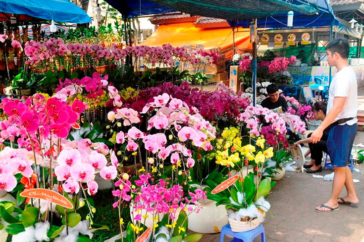 Colorful flowers in the market