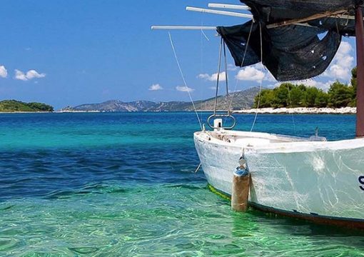 Cu Lao Cham Island & Nature Reserve, Hoi An