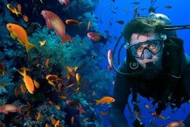 Diving in Hoi An - An Amazing Experience & Activity to Try