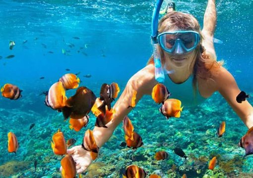 Paradise for Diving in Phu Quoc Island, Vietnam