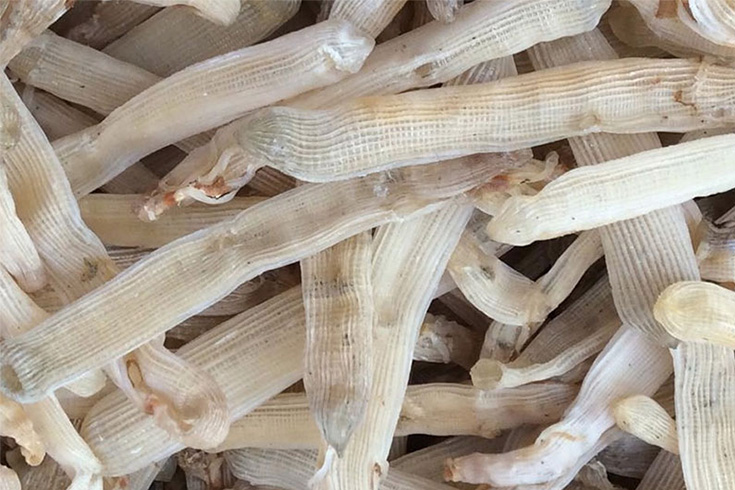 Dried Sipunculus Nudus - what to buy in Halong Bay