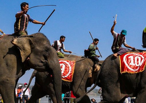 Elephant Race Festival, Dak Lak