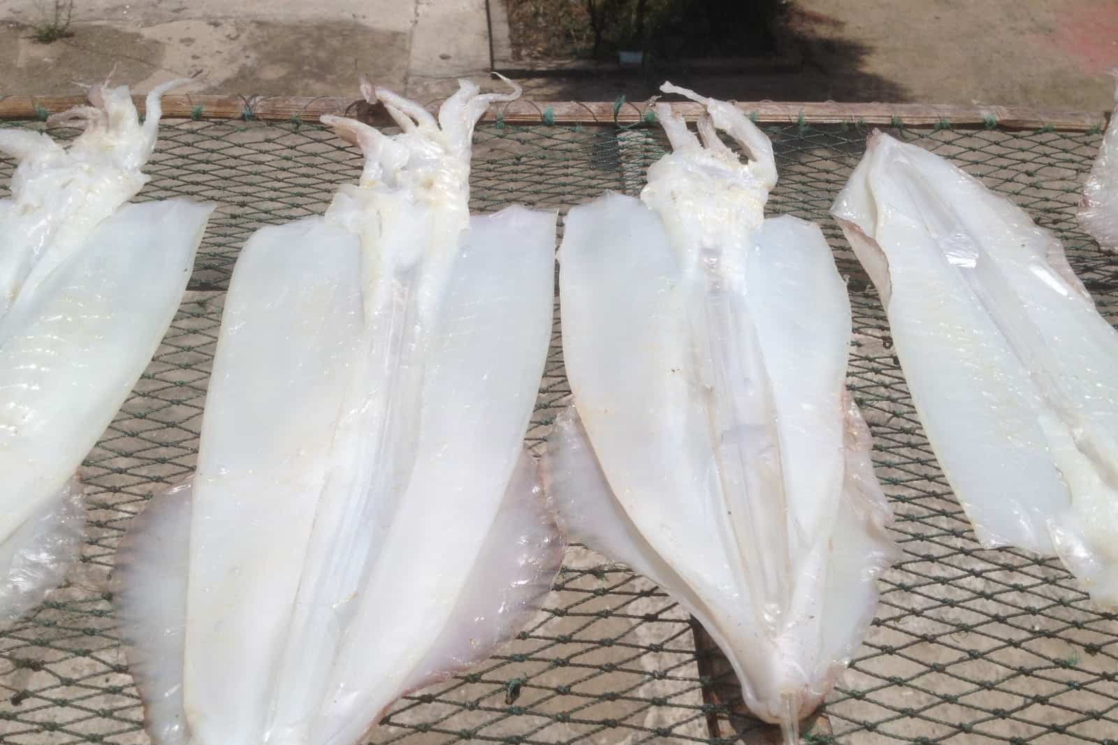 Grilled Half Dried Cuttle Fish