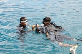 Things to Know about Halong Bay Diving for First Time Travelers