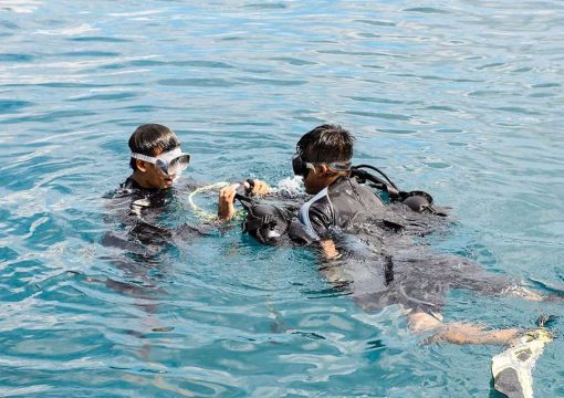 Things to Know about Halong Bay Diving for First Time Travelers