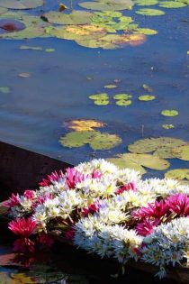 Vietnamdiscovery-Hanoi