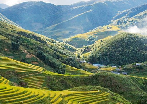 Hoang Lien National Park Travel Guide In Sapa