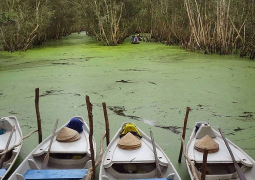 Monkey Island Eco Forest Park: a Peculiar Adventure in Ho Chi Minh City