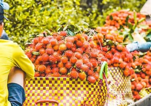 My Tho Fruit Market in Tien Giang
