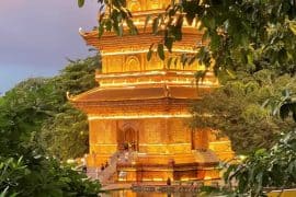 Hoi An to Ninh Binh Adventure: What to See, Do, and Prepare For