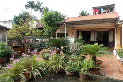 Phong Nam Ancient Village, Da Nang: an Idyllic Place of Interest