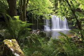 Phu Quoc National Park - One of The Best Nature Wonders in Phu Quoc