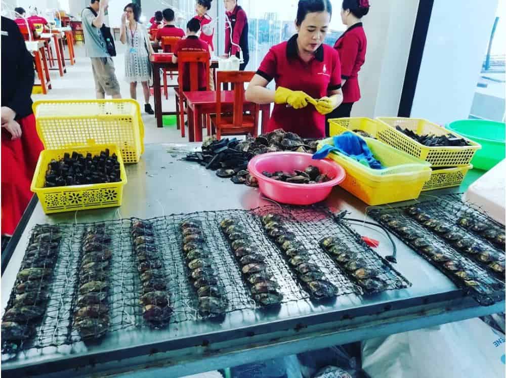 Phu Quoc pearl farm