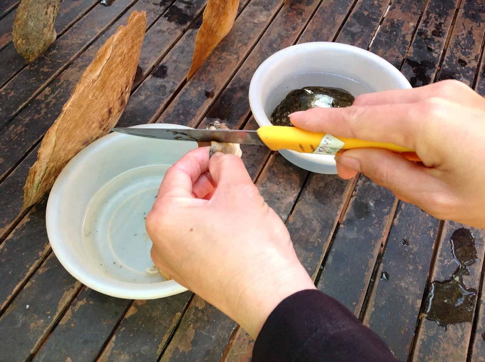 Retrieving the pearls