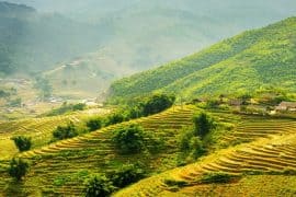Ultimate Guide To Best Homestay In Sapa - Top 8 Highly Recommended By Tourists