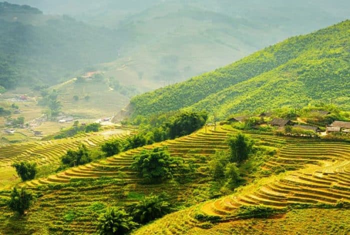 Ultimate Guide To Best Homestay In Sapa – Top…