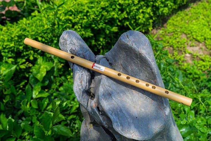 Sao Truc performance