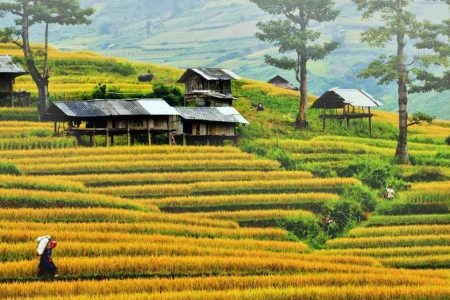 3 Days Honeymoon Sapa Tour from Hanoi