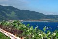 Vietnamdiscovery - Son Tra Peninsula – A Scenic Landscape in Danang, Vietnam