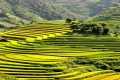 Vietnamdiscovery - 14 Rewarding Things to Do in Sapa for First-Timers