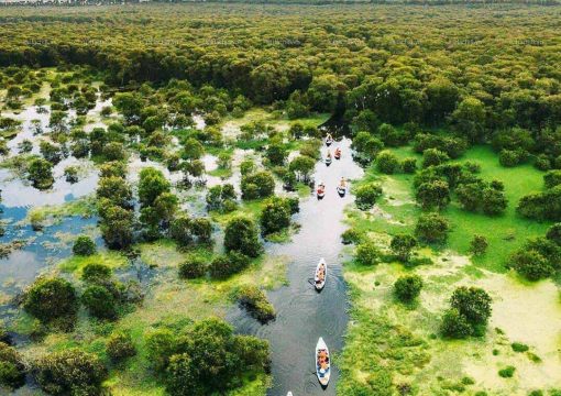 Tra Su Cajuput Forest Travel Guide: What You Need to Know
