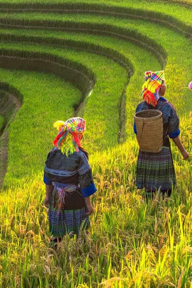 Vietnamdiscovery-Sightseeing