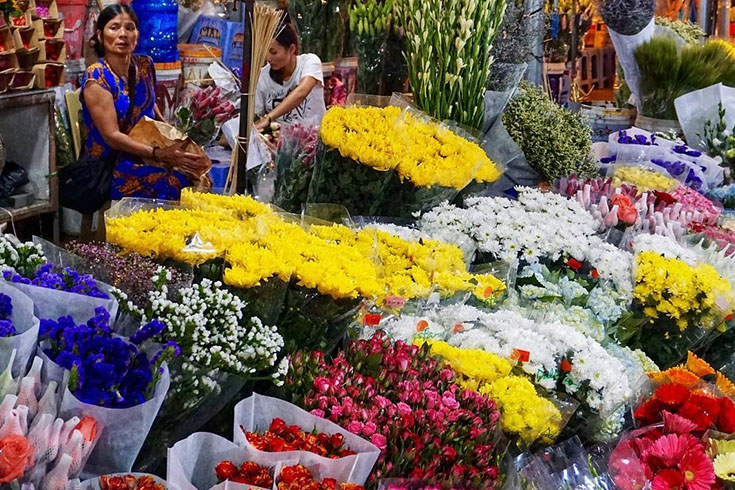 Visit Quang Ba night flower market