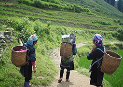 we are experts on Vietnam