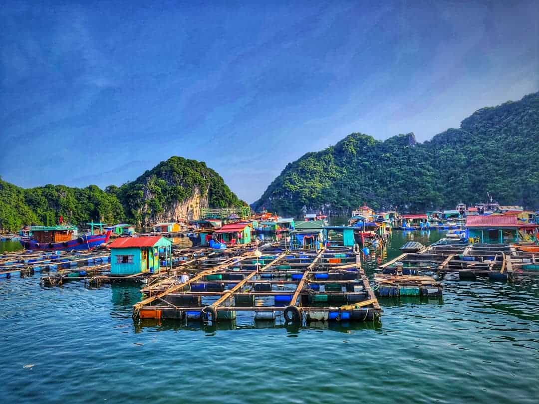 What to do in Cua Van Floating village