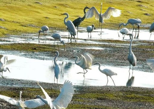 Xuan Thuy National Park, Nam Dinh
