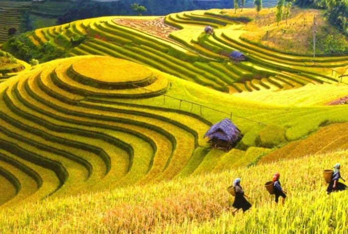 Y Linh Ho Village: The Pristine Beauty of Sapa,&hellip;